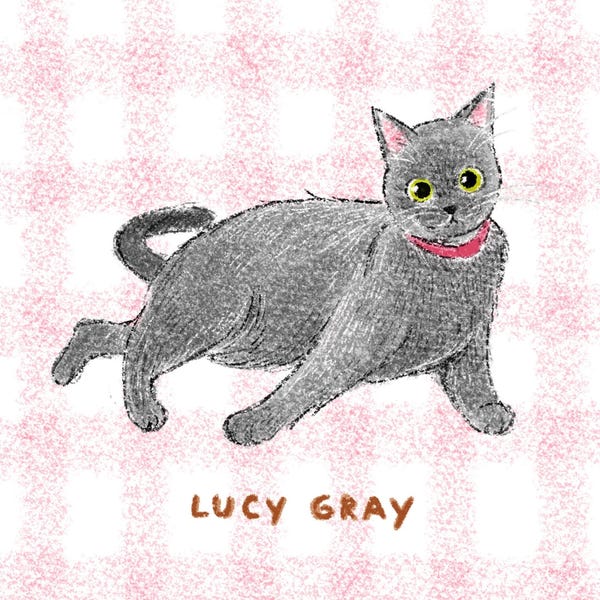 Custom Badly Drawn Pet Portrait, Personalized Cat Portrait, Unique Pet ...