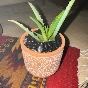 Becky added a photo of their purchase