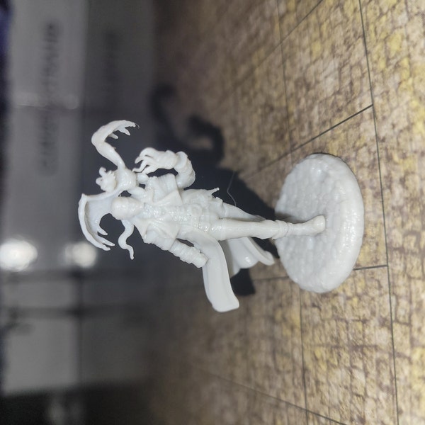 Human Male Sorcerer Warlock With Pseudodragon Familiar |4 Sizes /scales ...