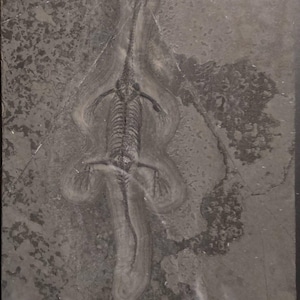 Daniel added a photo of their purchase