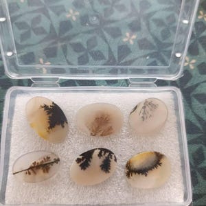 gina added a photo of their purchase
