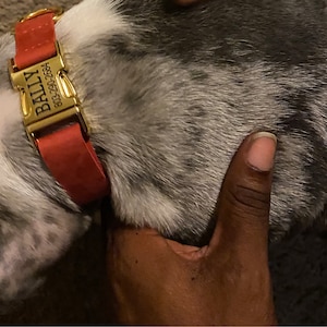 Ebony added a photo of their purchase