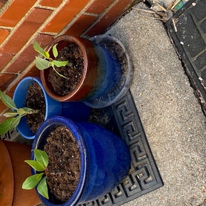 Jeanne added a photo of their purchase