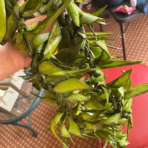 Krista added a photo of their purchase