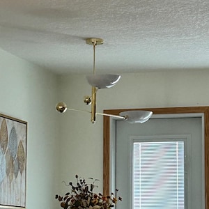 Lee added a photo of their purchase