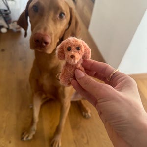 Alina added a photo of their purchase