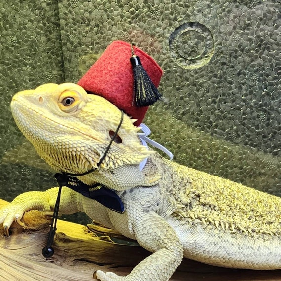 Customer photo of a pet with the Fez Hat mini small pet Cat Dog Hedgehog Vogue