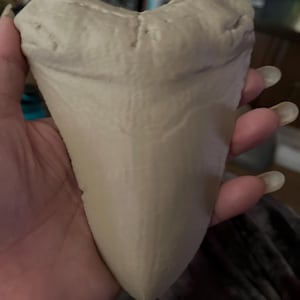 Stormy added a photo of their purchase