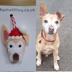Alison added a photo of their purchase