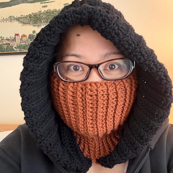 Beginner Friendly Crochet Turtleneck Hoodie Pattern PDF, Easy Modern ...
