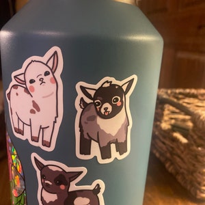 Erica added a photo of their purchase