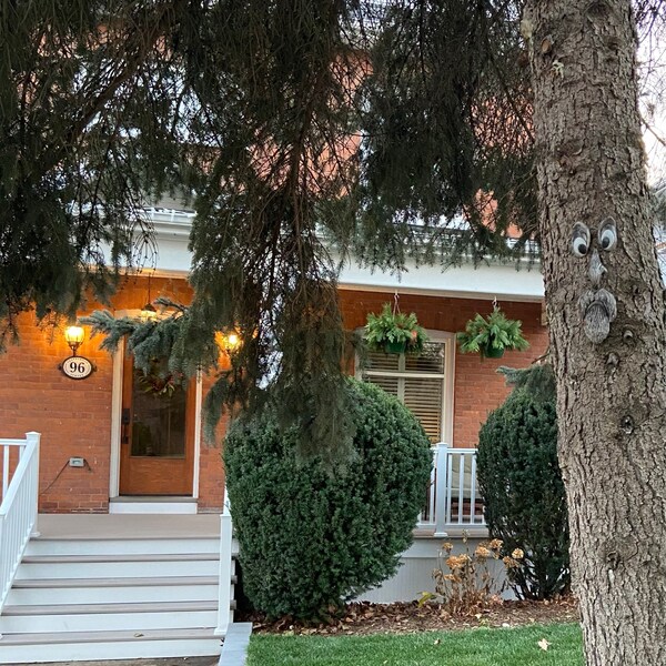 The ORIGINAL & GENUINE Mr. Grumpy Stump Tree Face Gift for Dad Fun ...