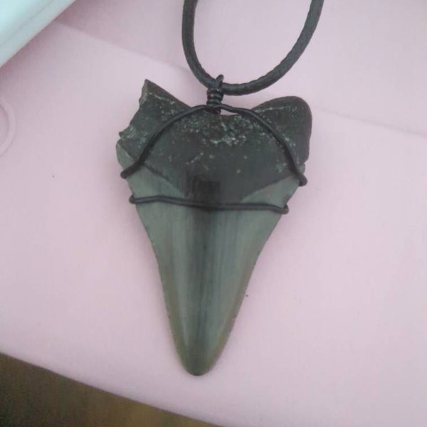 CUSTOM SHARK TOOTH Necklace, Real Ancient Fossil Sharks Teeth Jewelry