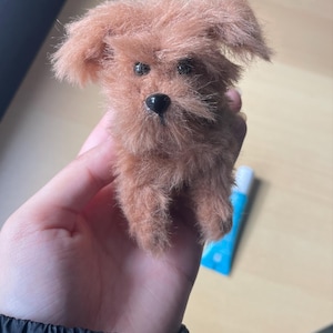 Lynn heeft een foto van de aankoop toegevoegd