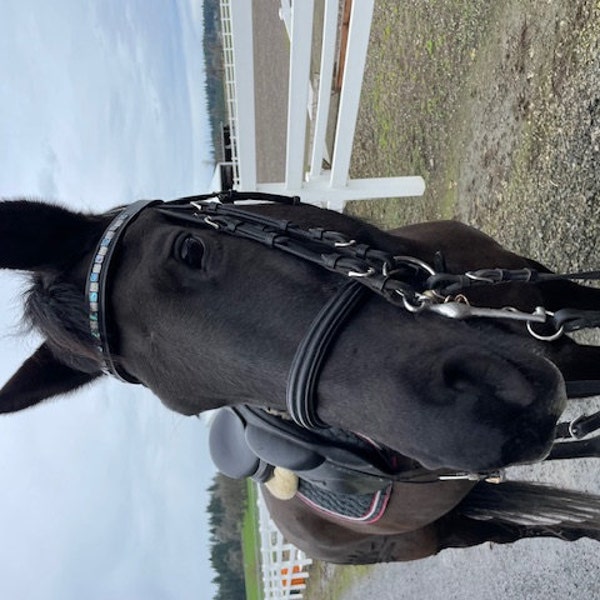 Têtière Cheval Noire - Perles Onyx & Métal & Rondelles Bleues - Pet & Pasture
