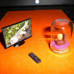 gisela heeft een foto van zijn/haar aankoop toegevoegd