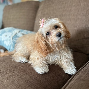 Linsey ha añadido una foto de su compra