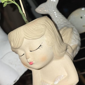 Rachel added a photo of their purchase