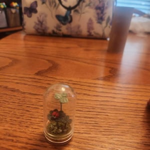 Cammie added a photo of their purchase