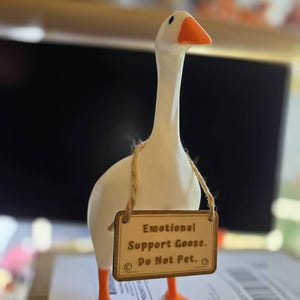 Beth added a photo of their purchase