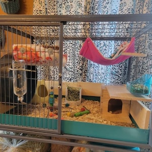 Lisa added a photo of their purchase