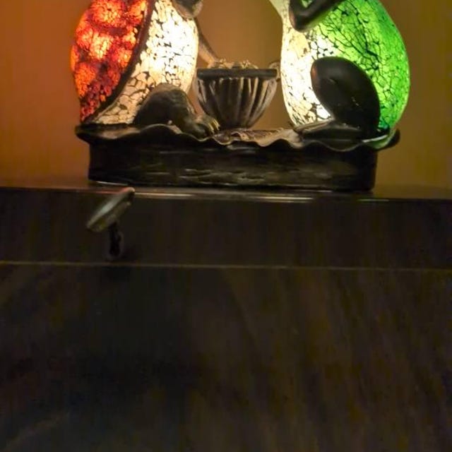 Quirky Frog & Tortoise Lamp - Etsy