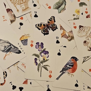 Yoh added a photo of their purchase