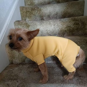 ミニチュア・ダックスフンド用ネオプレン製ロンパース：伸縮性のある犬