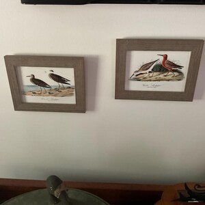 Judith added a photo of their purchase