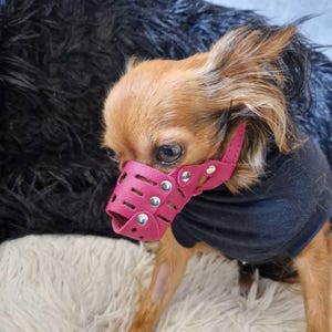 Museruola Per Cane In Pelle - Regolabile E Traspirante, Per Cani Di Tutte Le Taglie - Foto 4