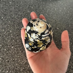 Alina added a photo of their purchase