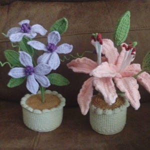 Melissa added a photo of their purchase