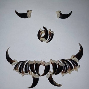 Shasha added a photo of their purchase