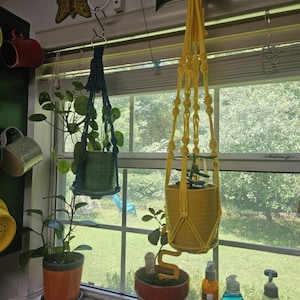 Alexandra added a photo of their purchase