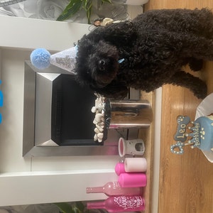 Dog Birthday Celebration Cake - Etsy UK