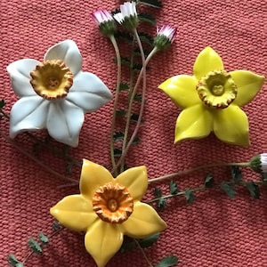 Carmen added a photo of their purchase