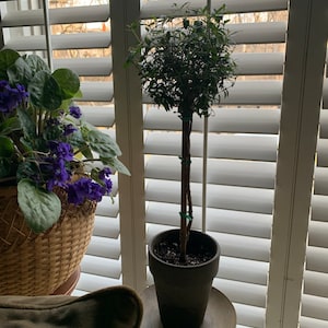 Comprador de Etsy ha añadido una foto de su compra