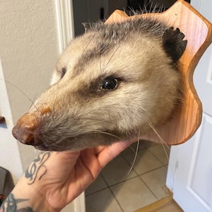 Jenny added a photo of their purchase