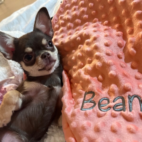 Baby Embroidered Bear Newborn Wrap Blanket