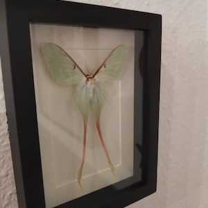 Mimi added a photo of their purchase