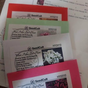 Aracelis added a photo of their purchase
