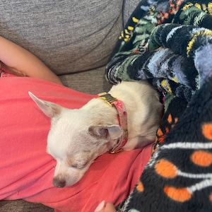 Sandra added a photo of their purchase