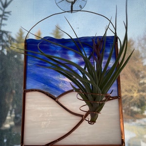 Rachel added a photo of their purchase