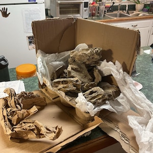 Etsy buyer added a photo of their purchase