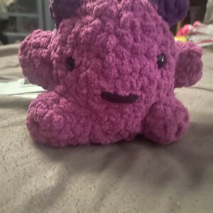 Sarah added a photo of their purchase
