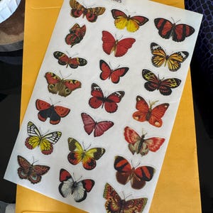 S added a photo of their purchase