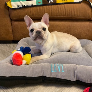 Personalised Dog Bed Washable Dog Mattress Cosy Calming | Etsy UK