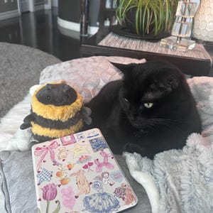 Autumn added a photo of their purchase