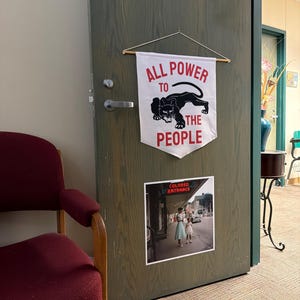 All Power to the People | Black Panther Party Illustration Pennant