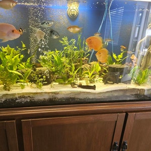 Robert added a photo of their purchase